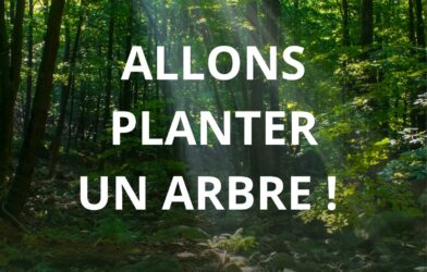 Allons planter un arbre !