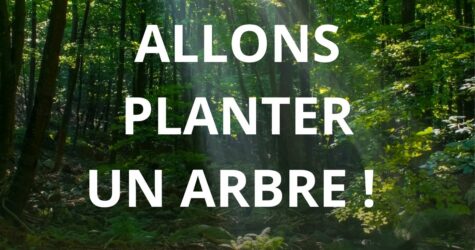 Allons planter un arbre !